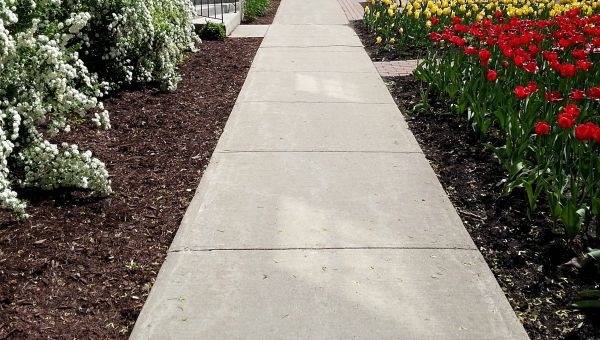 Concrete Pathway Repair Service