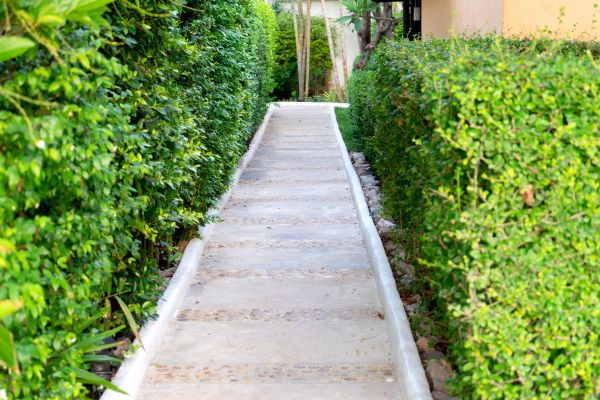 Cement Walk Repair