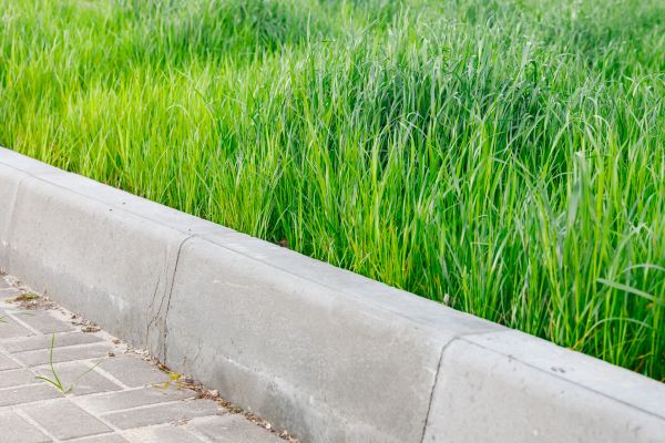 Curb Repair Service